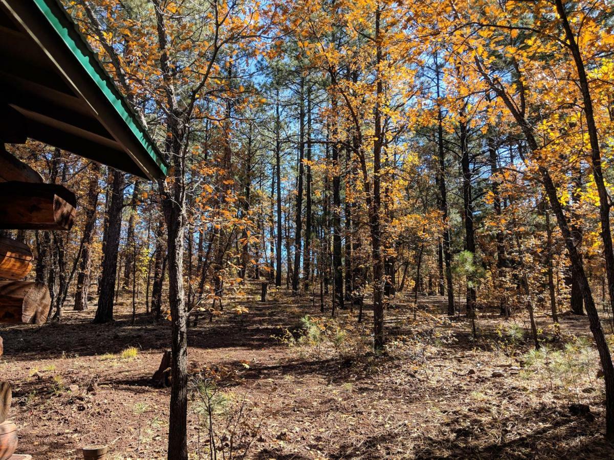 Cozy Cub Log Cabin - Year Round Tranquil Beauty Pinetop-Lakeside Luaran gambar