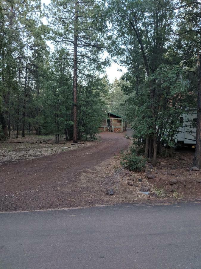 Cozy Cub Log Cabin - Year Round Tranquil Beauty Pinetop-Lakeside Luaran gambar
